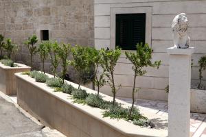 Zahrada ubytování Villa Rustica Dalmatia