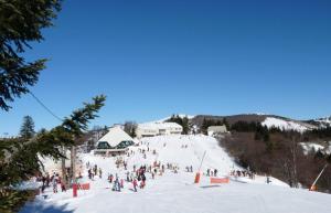 a group of people skiing down a snow covered slope at Hôtel Restaurant L'Arbre à Pain in Altier