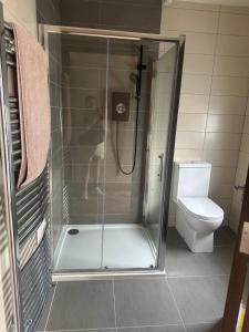a shower stall in a bathroom with a toilet at The River Nook in Termonbarry +7 photos