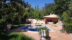 a swimming pool in a yard next to a house at Casa Loureiro - Vista Rio Douro in Resende