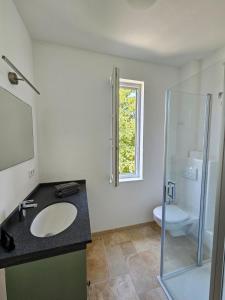 a bathroom with a sink and a toilet and a shower at Kiekutsland in Westerholz +83 photos