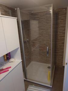 a shower with a glass door in a bathroom at Denkmal 1764 in Sasbachwalden +5 photos