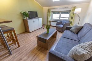a living room with a couch and a tv at Hölbinger Alm - Apartments in Anger