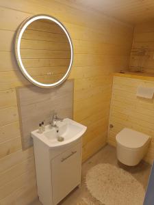a bathroom with a sink and a toilet and a mirror at Chata Studenec in Studenec