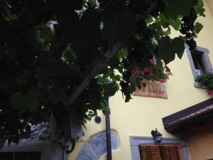 Budova, kde se bed and breakfast nachází
