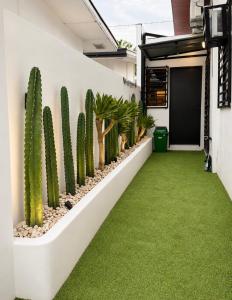 a garden with cacti and plants on the side of a house at Casa Aelliah in General Santos