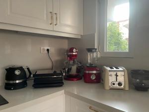 a kitchen counter with a blender and a toaster at Oran House in Ayvalık +19 photos