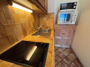 a small kitchen with a sink and a microwave at Studio Crêt du Midi, Chez Francine in Notre-Dame-de-Bellecombe