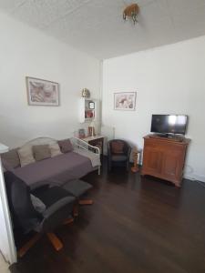 a living room with a bed and a tv at Maison d'hôtes du Faubourg Charrault Saint Maixent L'Ecole in Saint-Maixent-lʼÉcole