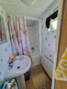 a small bathroom with a sink and a shower at Airport Cottage in Aldergrove