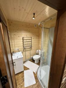 a bathroom with a toilet and a sink and a shower at Андріана in Mykulychyn