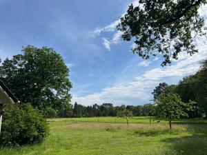 a field of grass with trees and a blue sky at Natur & Ruhe in Worpswede +30 photos