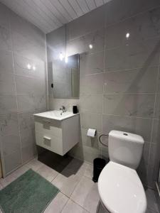 a bathroom with a white toilet and a sink at Gîte authentique avec piscine en Aveyron in Morlhon-le-Haut +26 photos