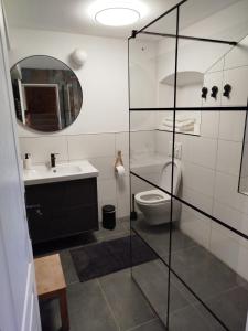 a bathroom with a toilet and a sink and a mirror at Loparina House in Nerezine +11 photos