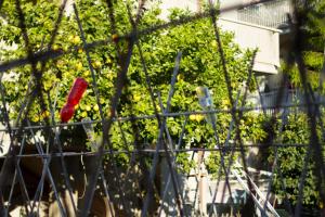 Gallery image of Arcobaleno B&B in San Benedetto del Tronto +15 photos
