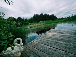 a swan is sitting on a dock on a lake at Kupolinis namelis Miško Pašvaistėje in Balneliškiai