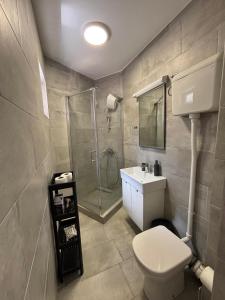 a bathroom with a shower and a toilet and a sink at Beachside Apartments Novalja in Stara Novalja +32 photos