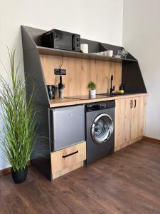 a washer and dryer in a kitchen with a counter at La Luna Apartman in Bečej +7 photos
