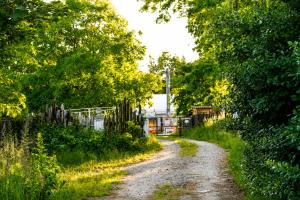 a dirt road with trees and a fence at Domek na Morskiej in Jantar