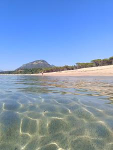 a body of water with a beach in the background at Barrosu Studio Apartment in Orosei +4 photos