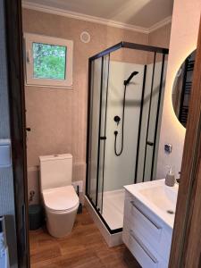 a bathroom with a shower and a toilet and a sink at Wiatrowe Domki in Lądek-Zdrój +16 photos