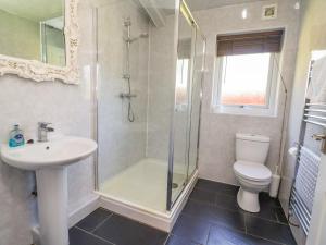 a bathroom with a shower and a toilet and a sink at The Red in St Asaph +26 photos