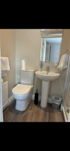 a white bathroom with a toilet and a sink at Grove house Dunleer in Dún Léire
