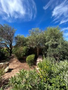 a garden with trees and bushes and a blue sky at Appartamento "Hic et Nunc" in Costa Paradiso +5 photos