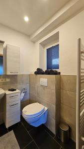 a bathroom with a toilet and a sink at Auszeit Eifel Ihre private Auszeit zu zweit in Reuth +24 photos