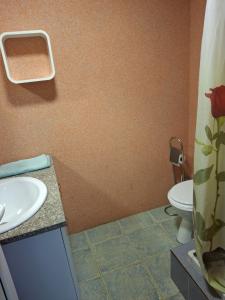 a bathroom with a sink and a toilet at Apartments Petrovic in Krimovice