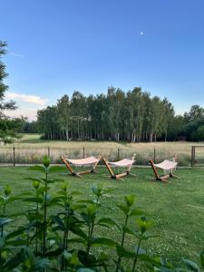 a row of picnic tables in a field at Brzozowa Polanka II in Lipowiec Stary