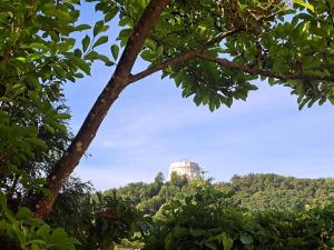 a building on top of a hill with trees at Freds Ferienwohnung in Kelheim