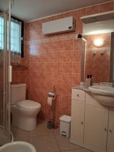 a bathroom with a toilet and a sink at Maison Laujo en bord de mer in Santa-Maria-Poggio +14 photos