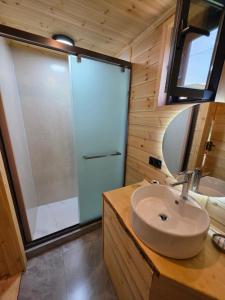 a bathroom with a sink and a shower at Кольсай Тау Оректы resort in Kurmenty