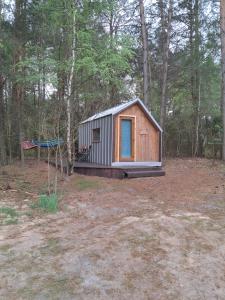 a small shed in the middle of the woods at Malowane Wrota Camp - Gniazdko in Łazy