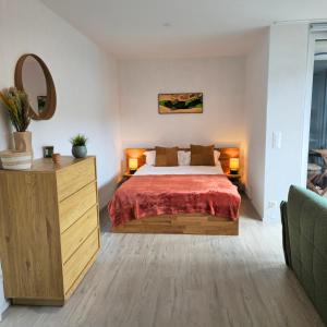 a bedroom with a bed and a dresser with a mirror at Studio Premium - Jardin privatif - Parking in Epalinges