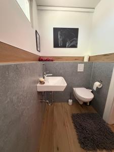 a bathroom with a sink and a toilet at Momo Den in Blomberg +14 photos