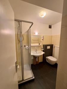 a bathroom with a shower and a sink and a toilet at Hotel Goldenes Kreuz - since 1605 in Vipiteno