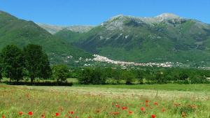 a field of red poppies in a field with mountains at Dimora del Capriolo in San Donato Val di Comino