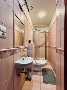 a bathroom with a sink and a toilet and a mirror at Willa Róża Karkonoszy in Jelenia Góra