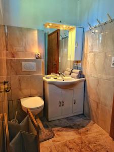 a bathroom with a sink and a toilet and a mirror at Das Försterhaus 41 in Aschau +23 photos