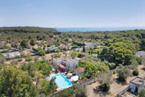 an aerial view of a house with a pool and trees at Villa La Cucchiara in Santa Caterina di Nardò