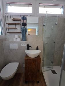 a bathroom with a sink and a toilet and a shower at Schönes Apartment in Schwäbisch Hall