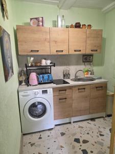 eine Küche mit Waschmaschine und Spüle in der Unterkunft Pas tetulę in Anykščiai
