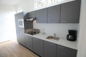 a kitchen with gray cabinets and a sink at Residence de Eese in De Bult