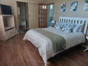 a bedroom with a large bed and a television at Cape Karoo Lodge in Riversdale