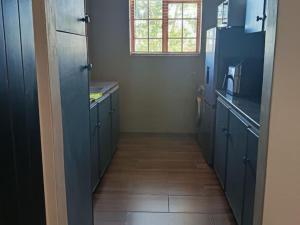 a kitchen with blue cabinets and a window at Cape Karoo Lodge in Riversdale
