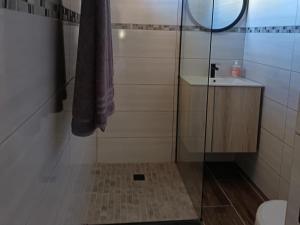 a bathroom with a shower with a sink and a mirror at Cape Karoo Lodge in Riversdale