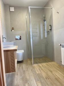 a bathroom with a shower and a toilet at Gościniec u Bobaków in Ząb