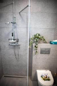 a bathroom with a shower and a toilet with a plant at Öreg Fűz Apartman in Mosonmagyaróvár